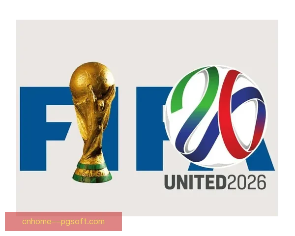 2026世界杯组委会宣布为参赛球队提供专属私人飞行航线保障赛事